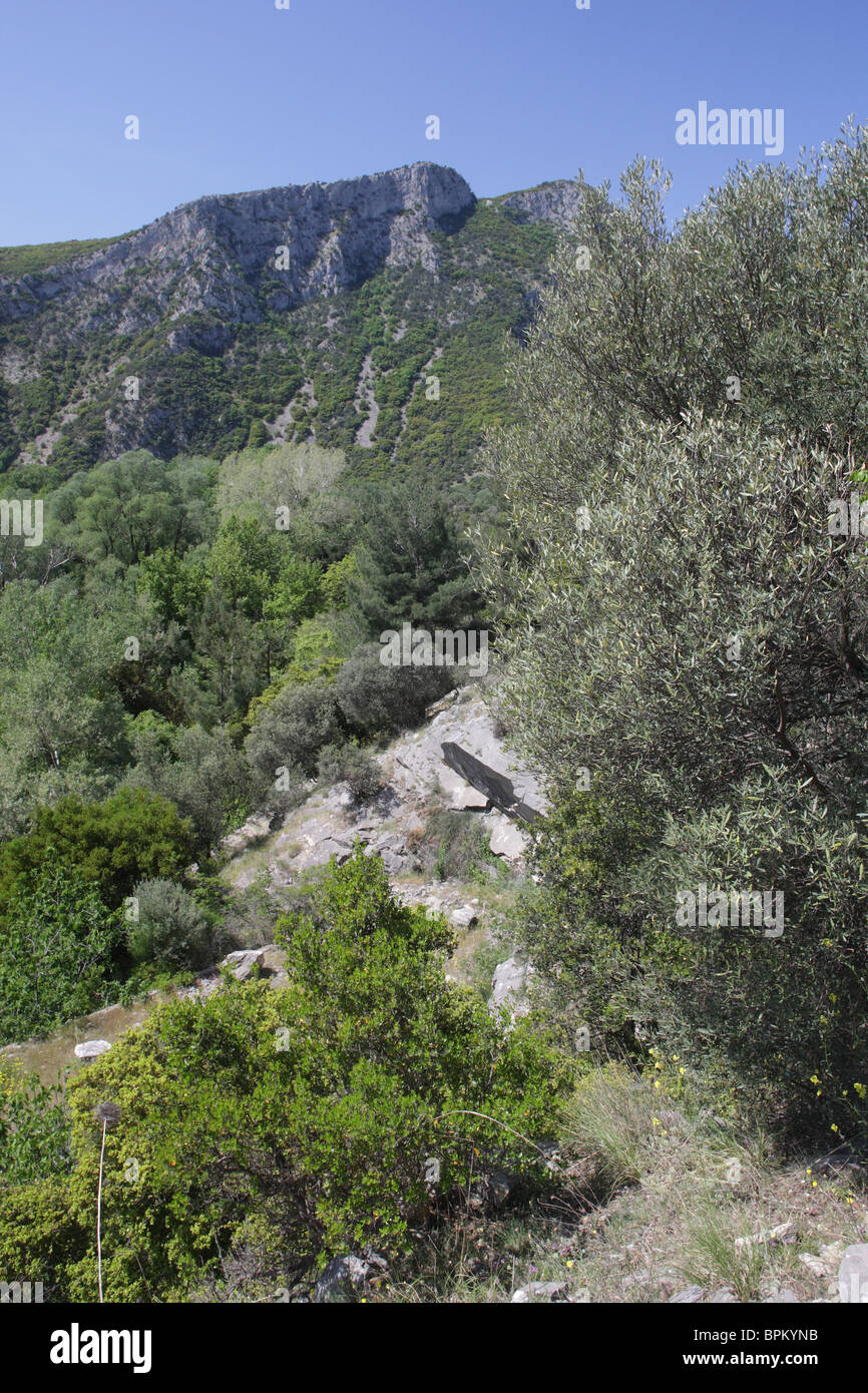 Fiume Nestos, area protetta 'Meanders del fiume Nestos', Grecia del Nord Foto Stock