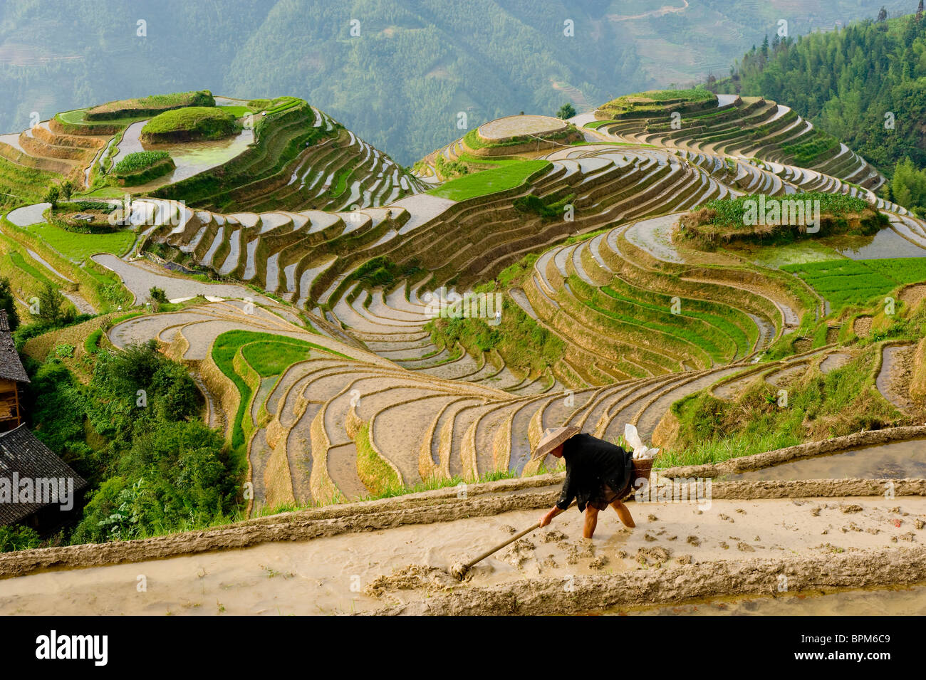 L'agricoltore cinese di preparare il campo per la semina Riso, Sette stelle e Luna Viewpoint, Foto Stock