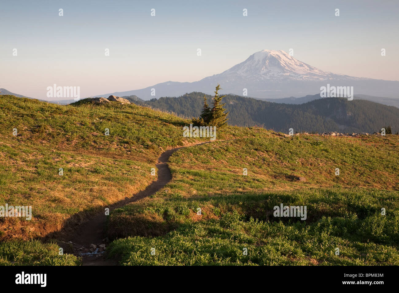 Pacific Crest Trail nelle rocce di capra deserto Gifford Pinchot National Forest - Washington Foto Stock