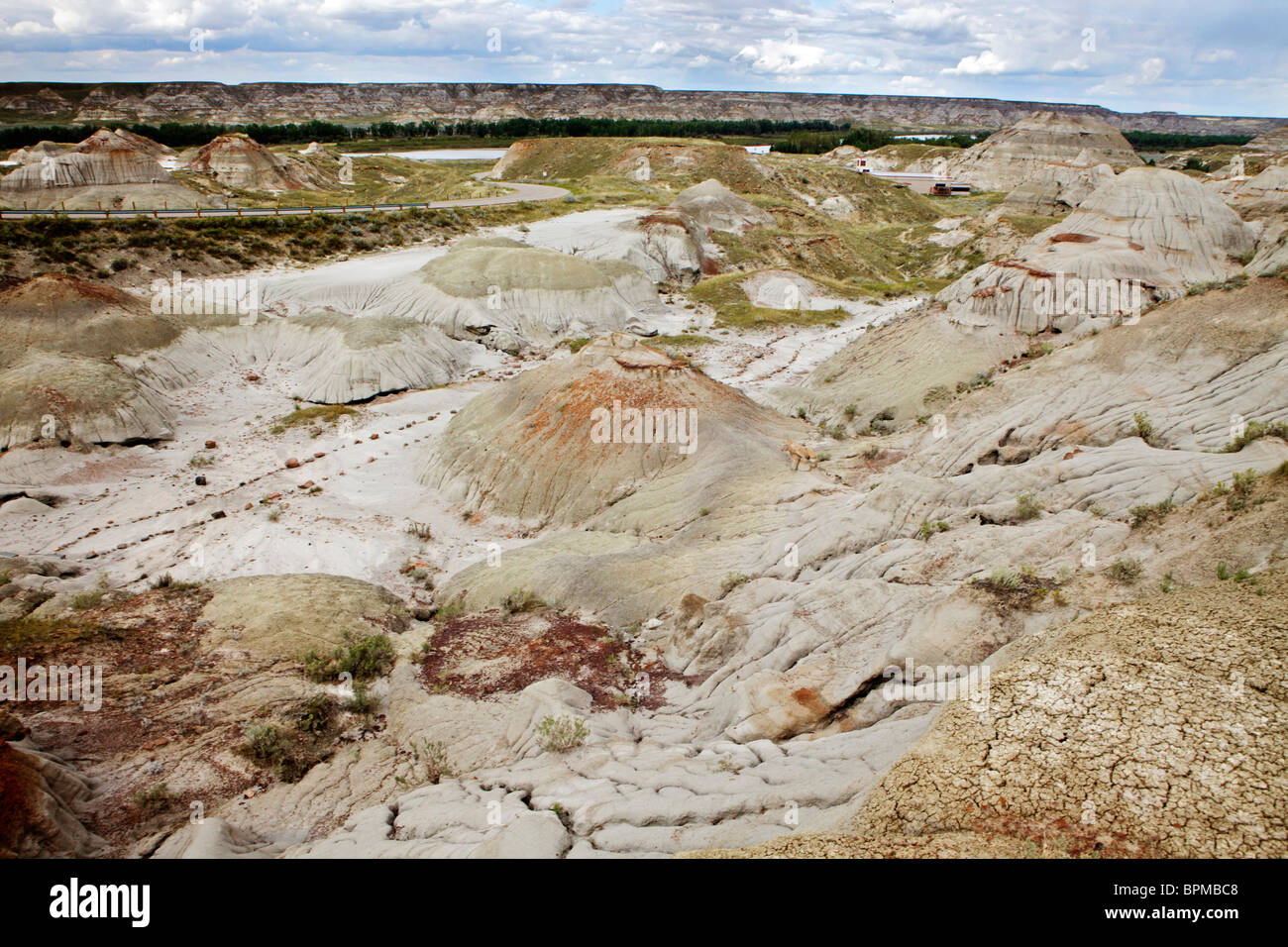 Strano paesaggio delle badlands nel Parco Provinciale dei Dinosauri, un sito Patrimonio Mondiale dell'UNESCO in Red Deer Valley, Alberta. Foto Stock