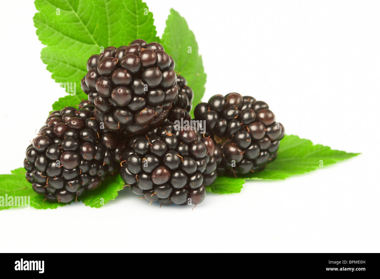 dewberry Foto Stock