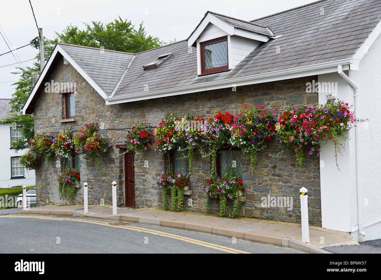 Cesti floreali pendenti al di fuori di casa indipendente nella località di villeggiatura di New Quay Ceredigion West Wales UK Foto Stock