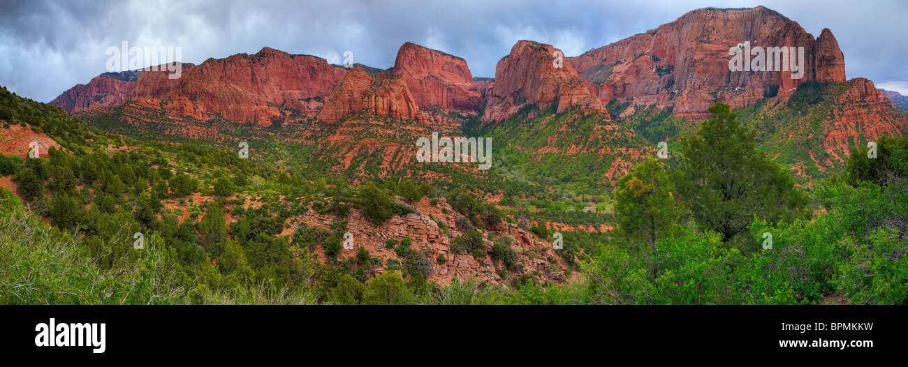 Parco Nazionale di Zion Foto Stock