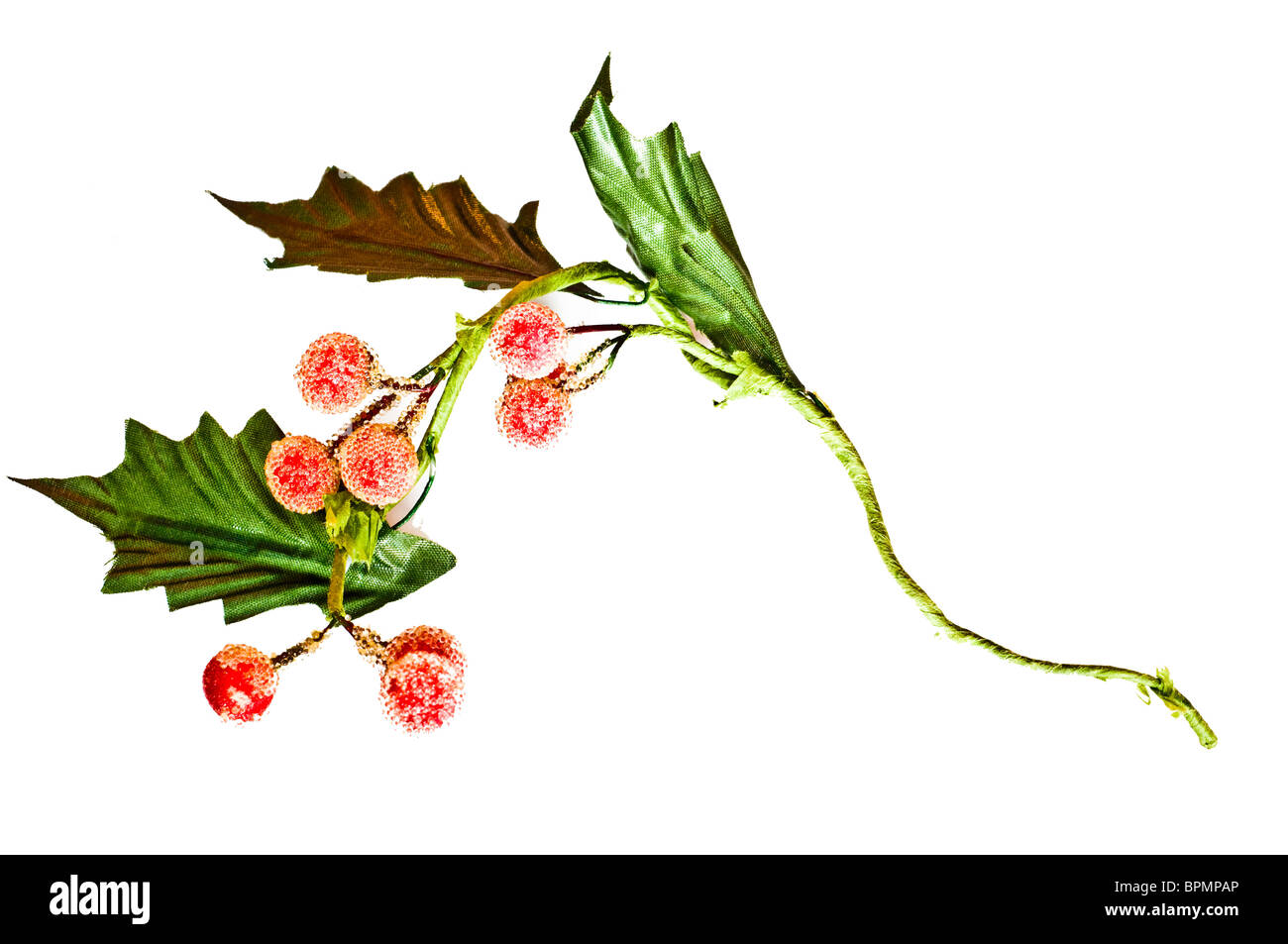 Bella decorazione di Natale - ramo verde con fiori rossi isolato su sfondo bianco Foto Stock