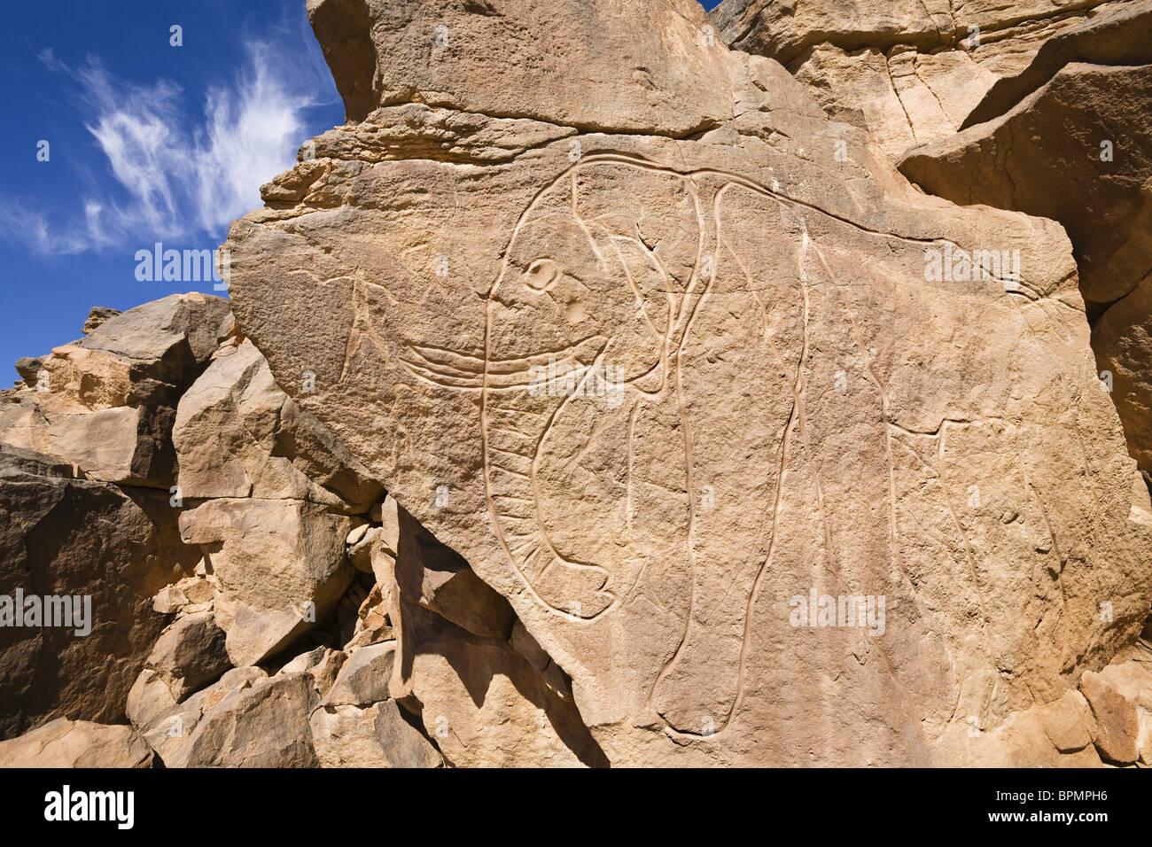 Incisioni in pietra raffigurante un elefante, Wadi Mathendous, Wadi Barjuj, deserto pietroso, Libia, sahara Africa del Nord Foto Stock