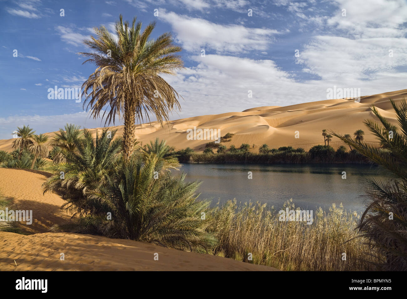 Il Mandara laghi nelle dune di Ubari, oasi Um el Ma, deserto libico, Libia, sahara Africa del Nord Foto Stock