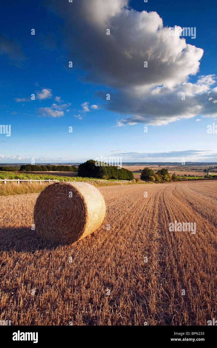 Le balle di paglia in un campo di stoppie e si affaccia sul Fiume Valle Ancholme nelle zone rurali del nord della contea del Lincolnshire, England, Regno Unito Foto Stock