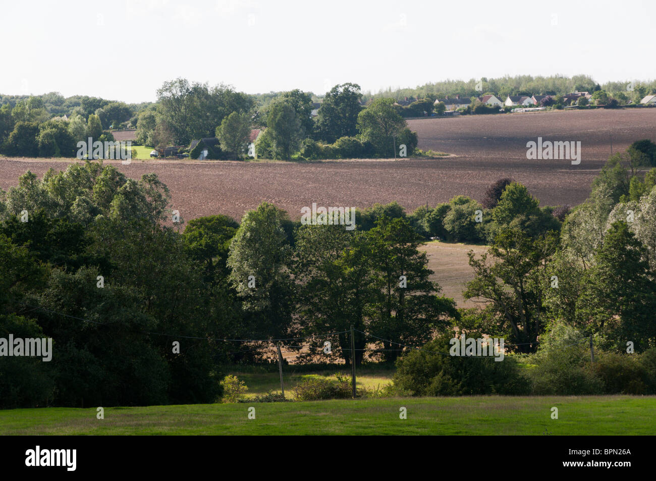 Essex tipico paesaggio di terreni agricoli vicino a Braintree Foto Stock