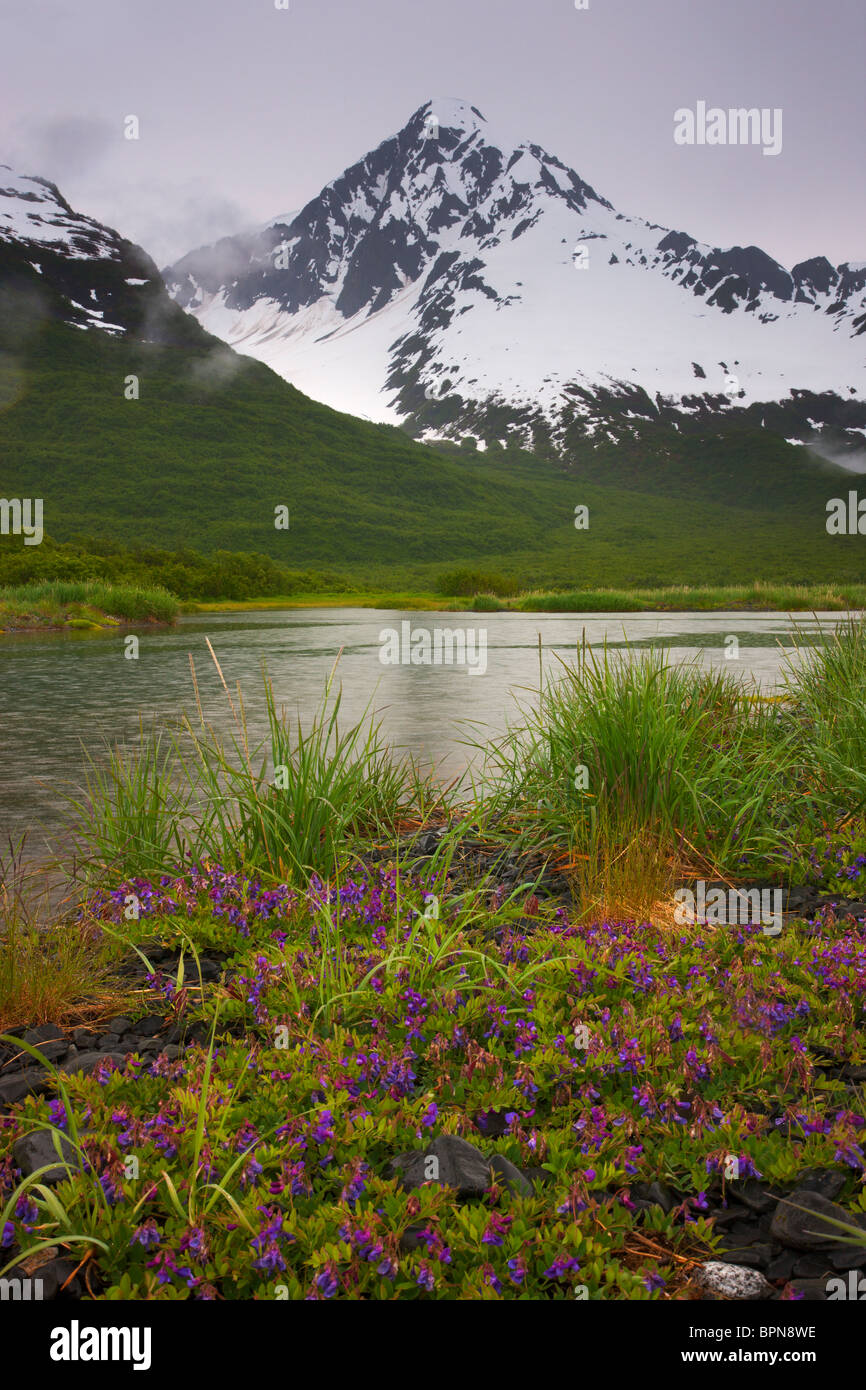Laguna a testa di Aialik Bay, il Parco nazionale di Kenai Fjords, vicino a Seward, Alaska. Foto Stock