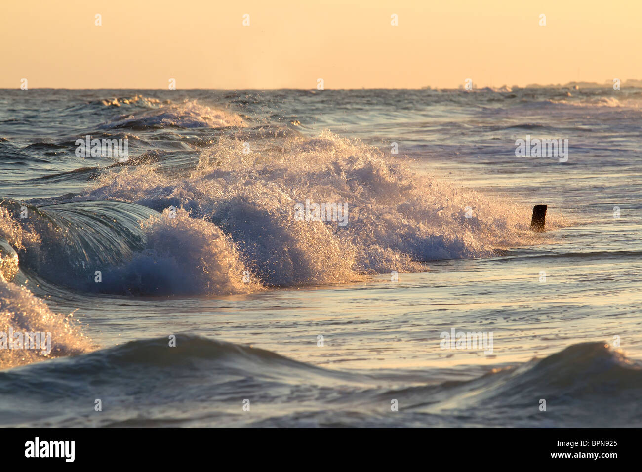 Surf in spiaggia della Florida durante il tramonto Foto Stock