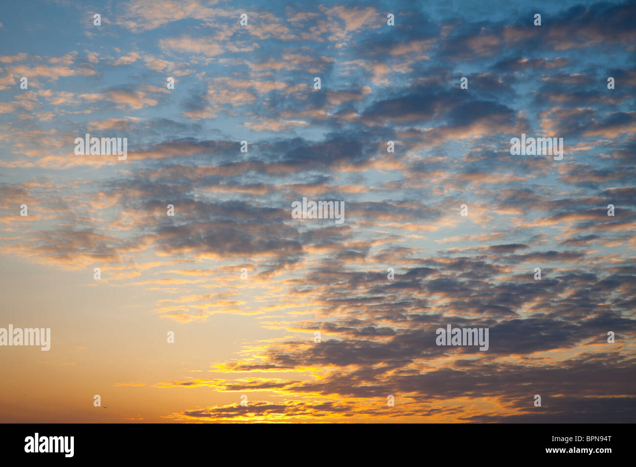 Bellissima alba nel Delta del Danubio, Romania. Foto Stock