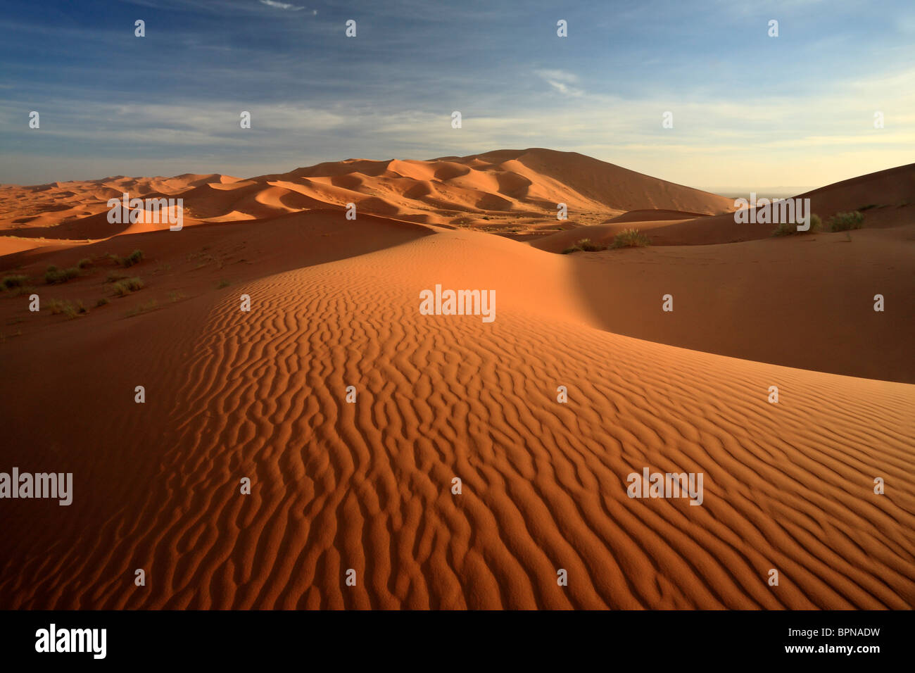 Luce e ombra giocano a sunrise attraverso le dune di Erg Chebbi vicino a Merzouga in Marocco Foto Stock