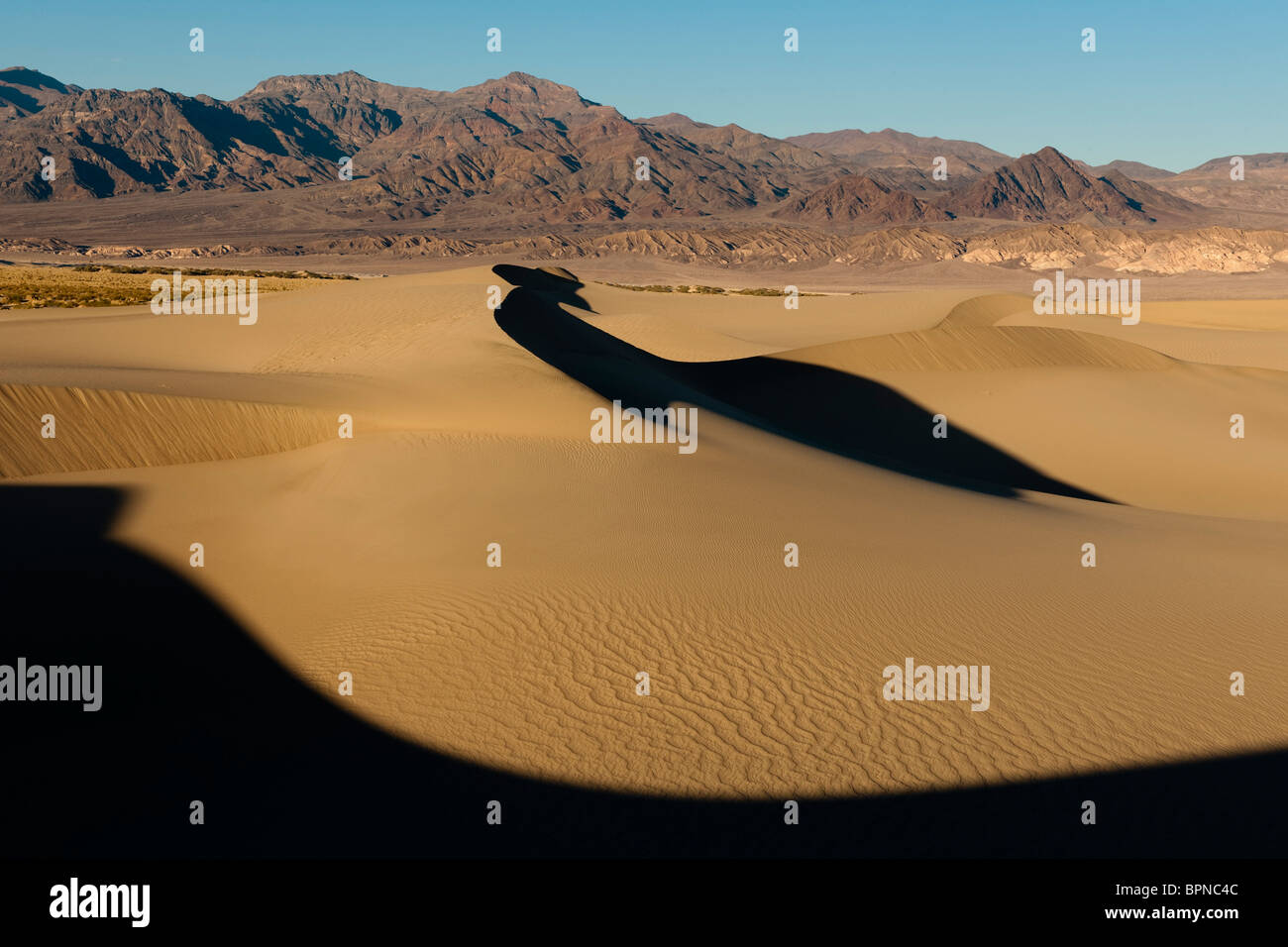 Le dune, il Parco Nazionale della Valle della Morte, CALIFORNIA, STATI UNITI D'AMERICA Foto Stock
