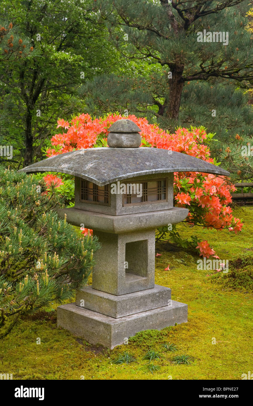 Lanterna di stile contemporaneo e Azalea vicino al padiglione, Portland Giardino Giapponese, Oregon Foto Stock