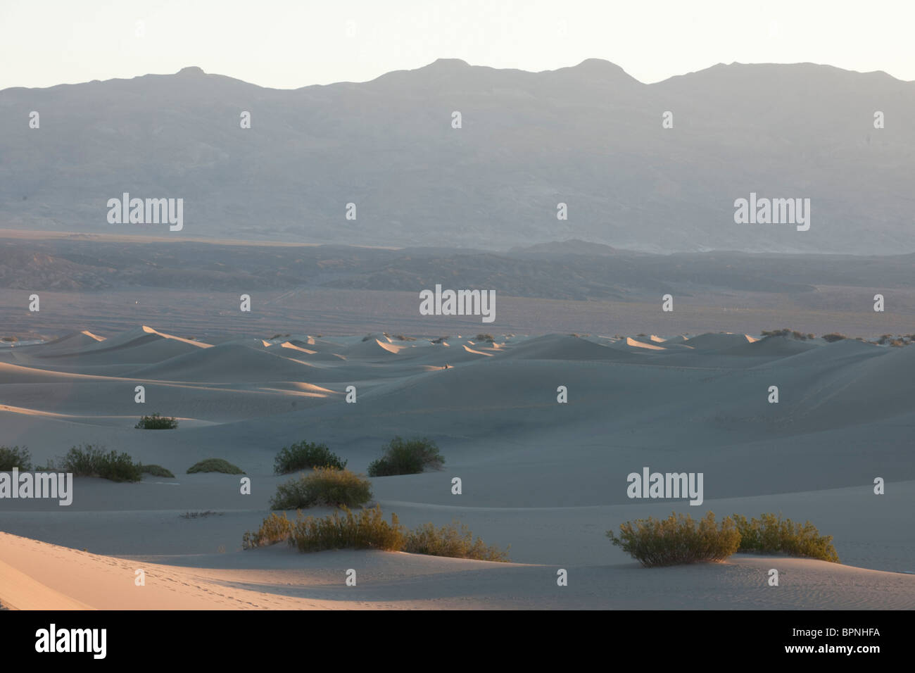 Le dune, il Parco Nazionale della Valle della Morte, CALIFORNIA, STATI UNITI D'AMERICA Foto Stock
