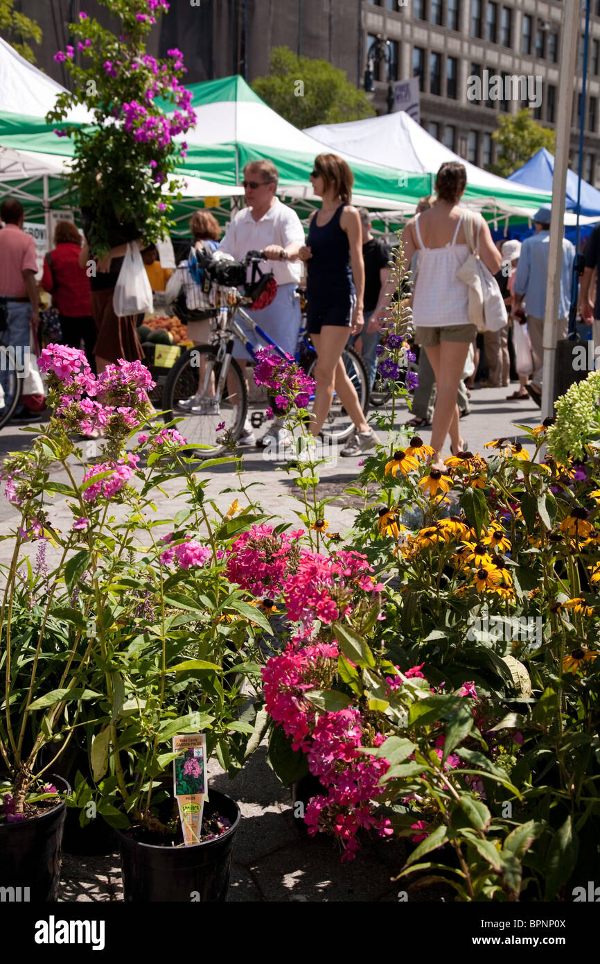 Union Square Mercato degli Agricoltori, NYC Foto Stock