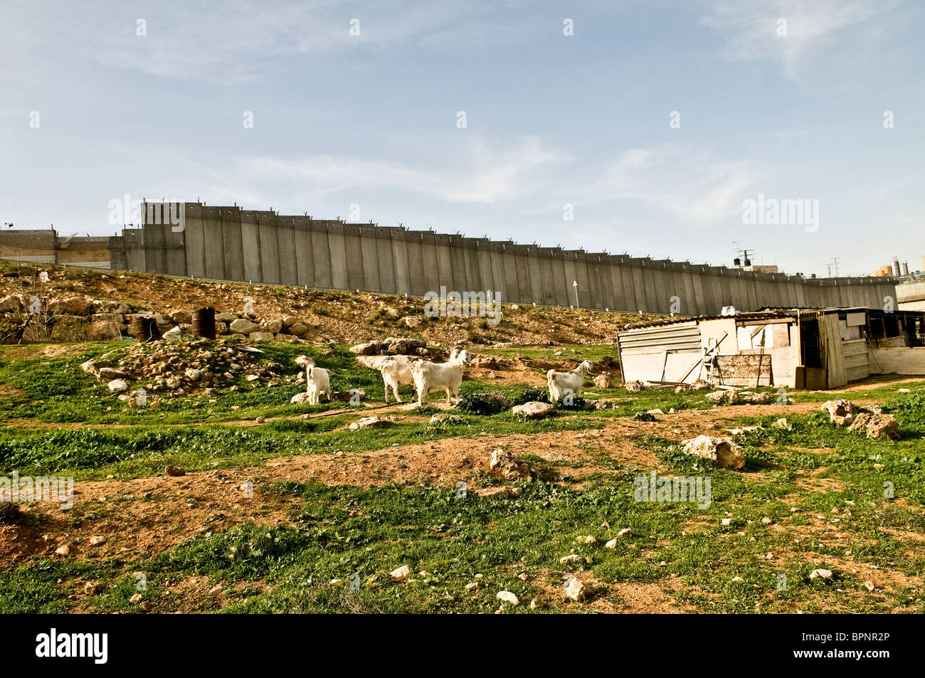 I beduini locali live dalla barriera costruire acquistare Israele.la barriera, Gerusalemme e altri temi verranno affrontati nei colloqui di pace Foto Stock