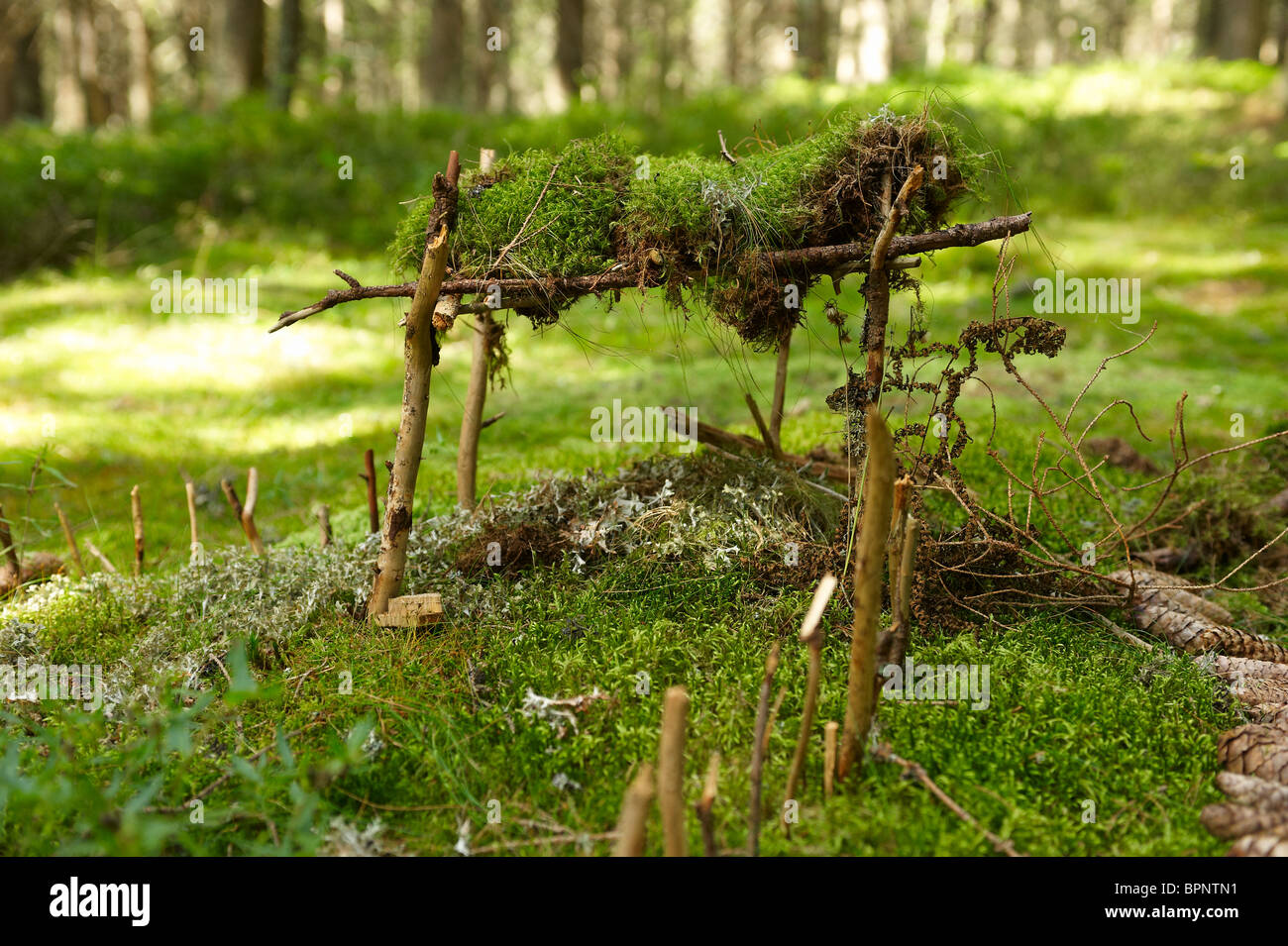 Casa in legno per la nana in foresta - costruire dai bambini Foto Stock