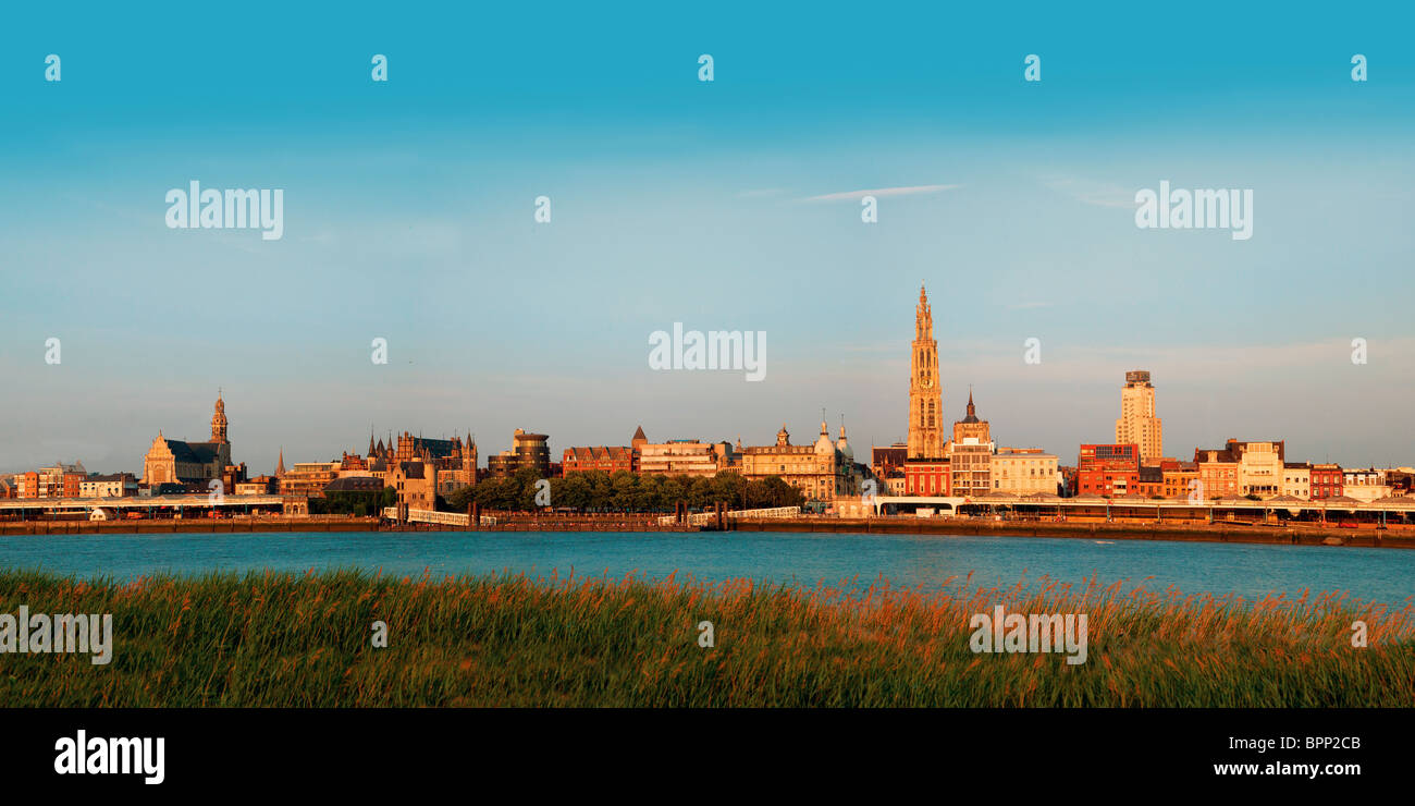 Lo skyline di Anversa da eveninglight (2010) Foto Stock