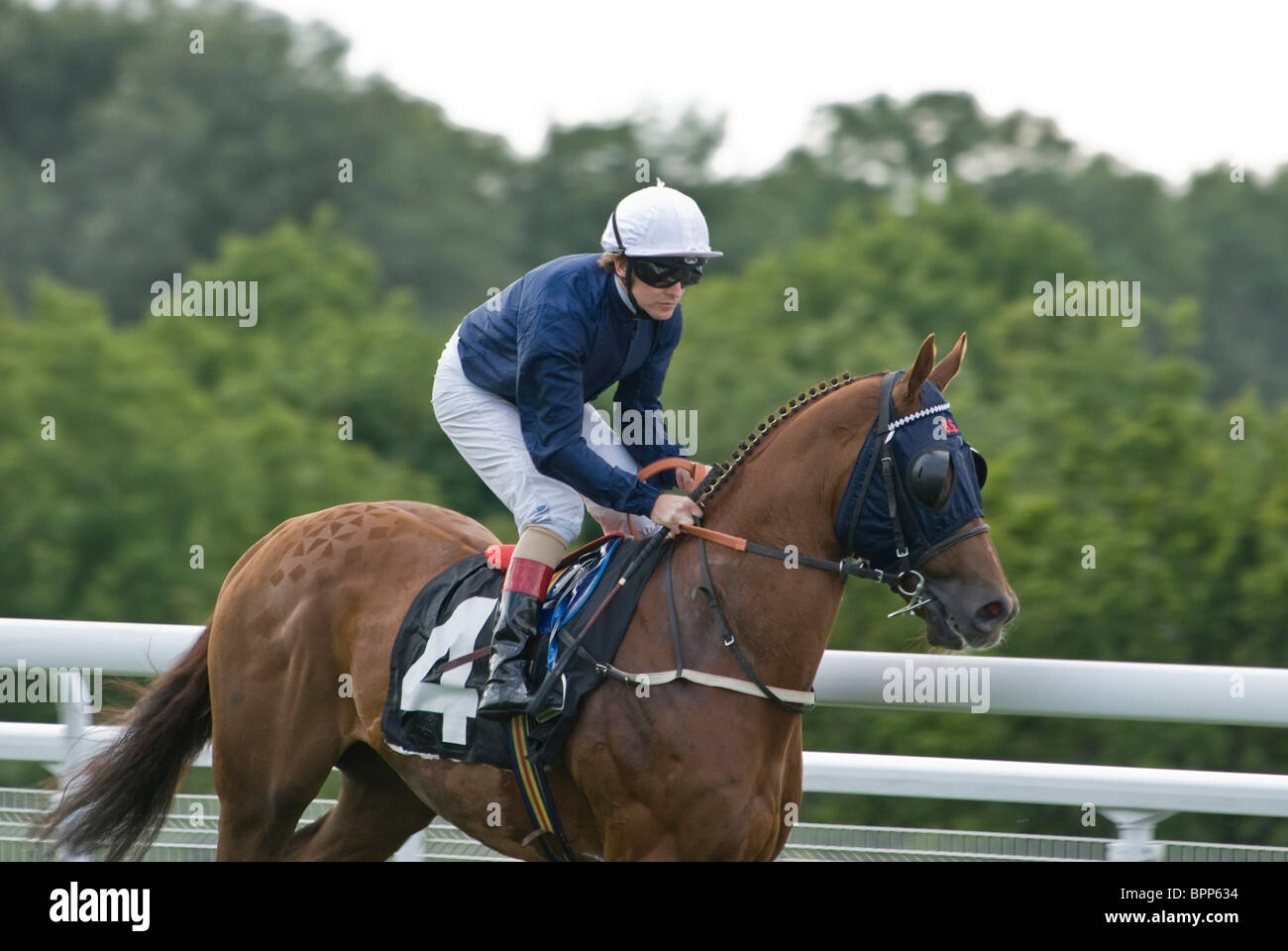 "Coraggioso" Richard Mullan, Equitazione fino al Ruk Jockey Leader Award picchetti, gloriosa Goodwood xxix Jukly 2010 giorno delle donne. Foto Stock