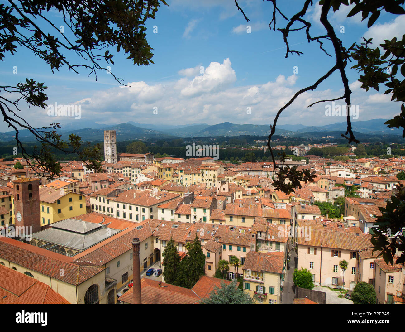 La storica città di Lucca visto dalla Torre Guinigi con la famosa Piazza amfiteatro nel centro. Toscana, Italia Foto Stock