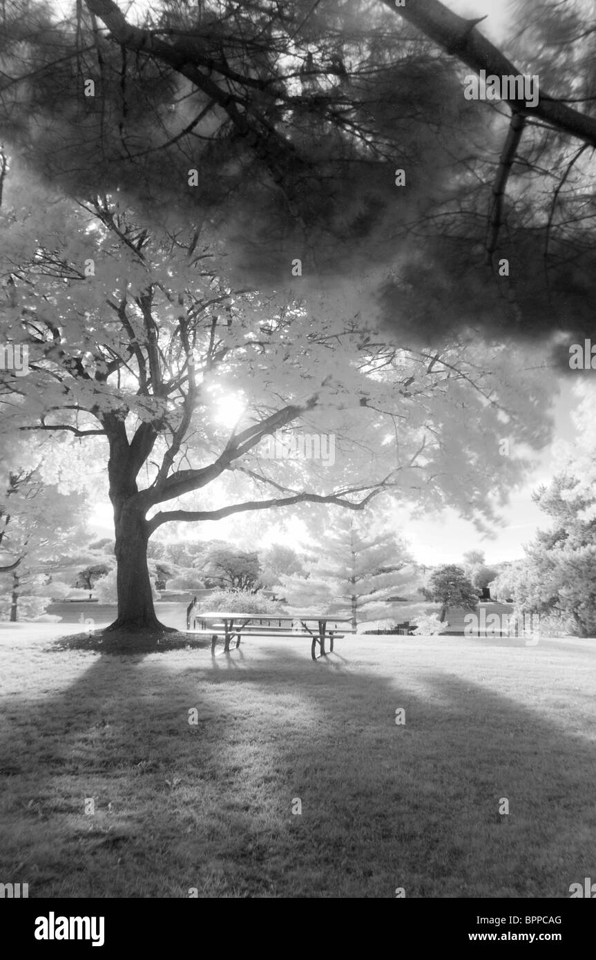 Fotografare con luci a infrarossi aggiunge un 'altro mondo' aspetto a comuni everday scene. Foto Stock