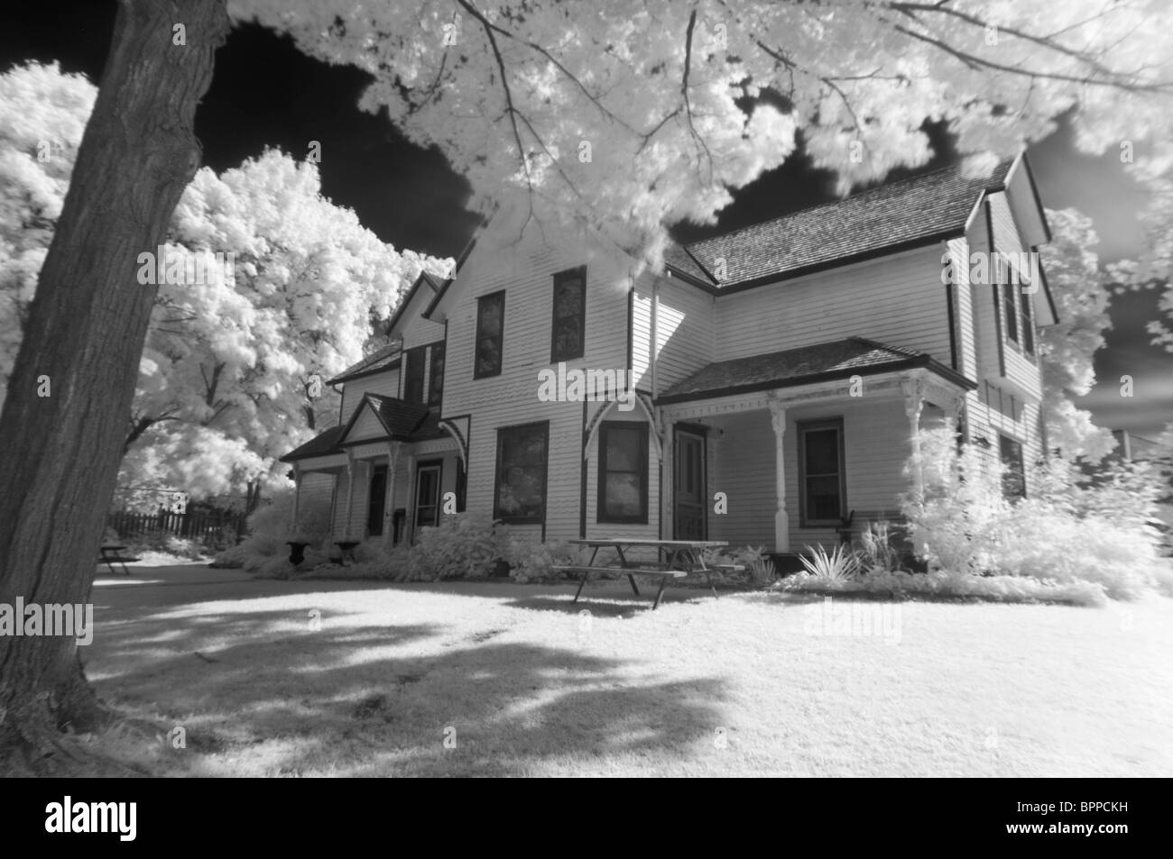 Fotografare con luci a infrarossi aggiunge un 'altro mondo' aspetto a comuni everday scene. Foto Stock