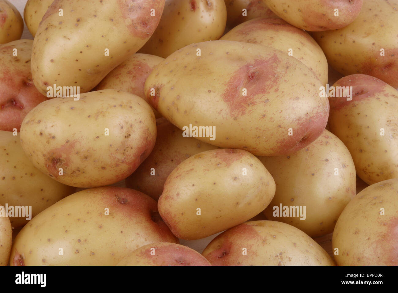 King Edwards di patate Foto Stock