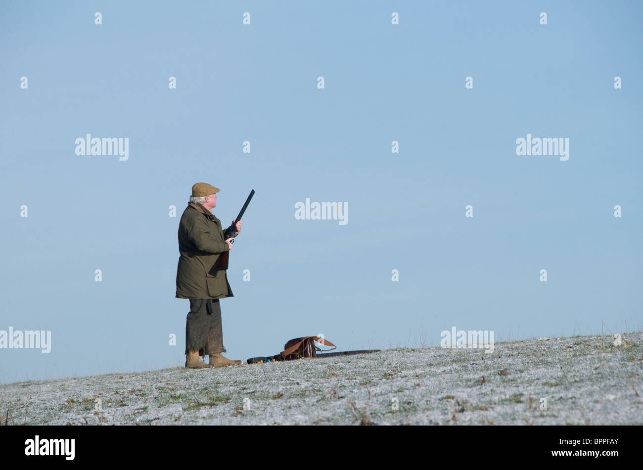 Un fagiano sparare NEL REGNO UNITO Foto Stock