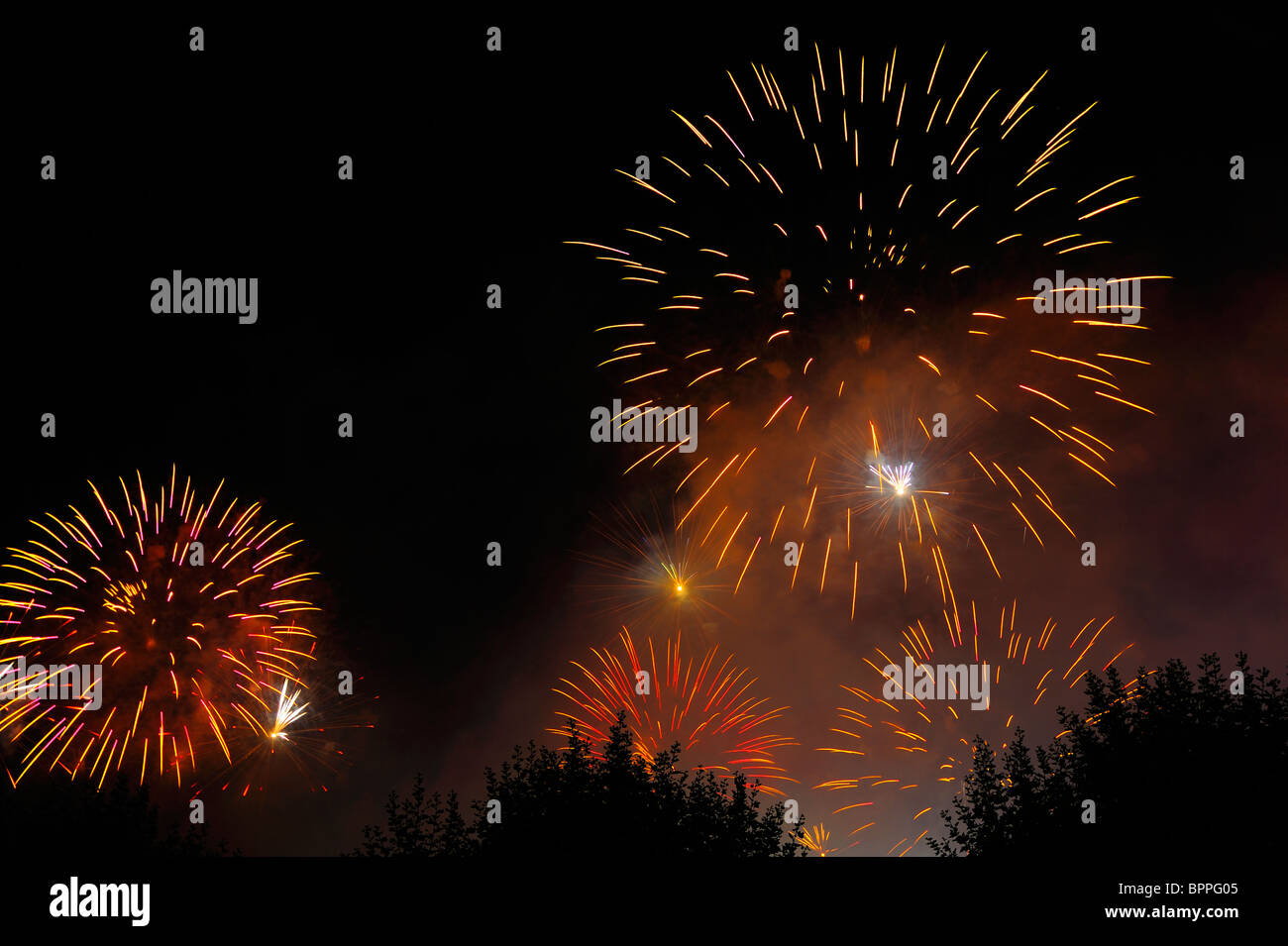 Fuochi d' artificio scoppia nel cielo notturno, su alberi (appena visibile). Spazio per il testo nel buio del cielo notturno. Foto Stock