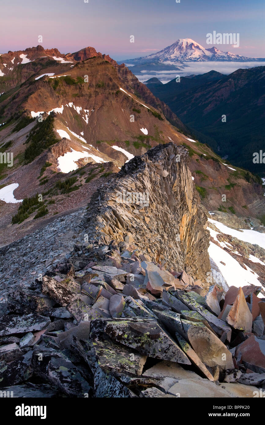 Vista di Mt. Rainier dalle rocce di capra deserto, Washington, Stati Uniti d'America Foto Stock