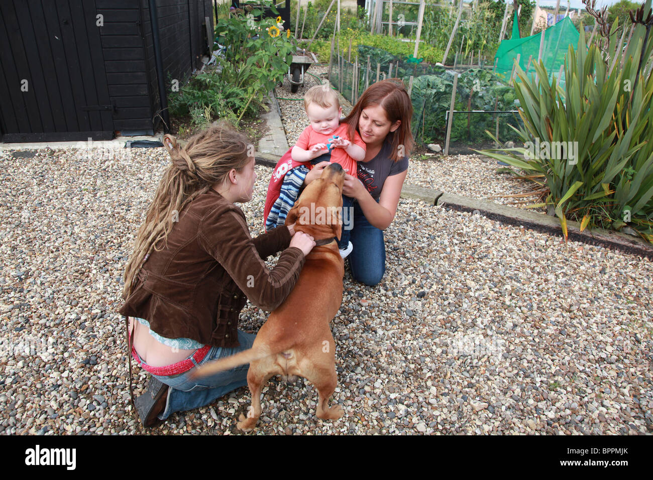 Madre con bambino e bambino e cane Foto Stock