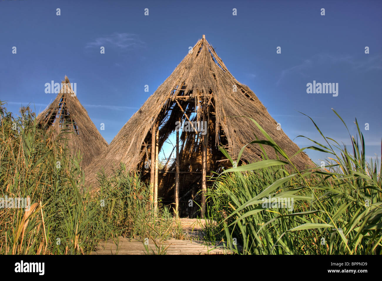 Le rovine di un villaggio celtico a Comana parco naturale, Romania. Foto Stock