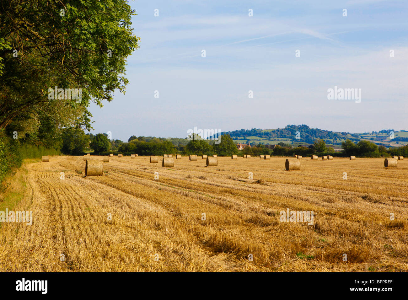 Campo in Cotswolds. Foto Stock