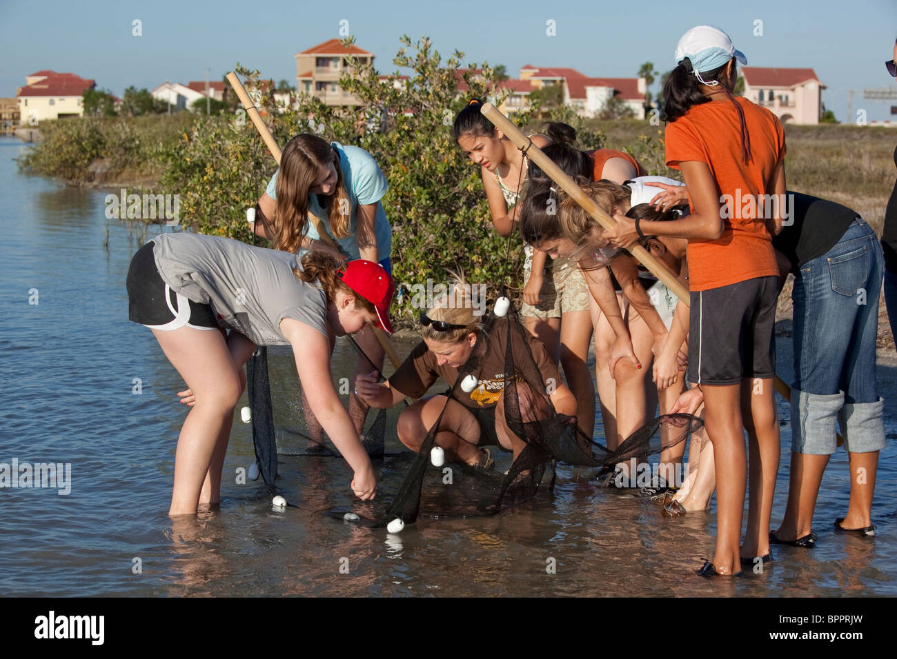 La scuola media di vista ragazze saltwater campioni raccolti in seine net nel corso di biologia marina di campo classe di viaggio a Corpus Christi Bay Foto Stock