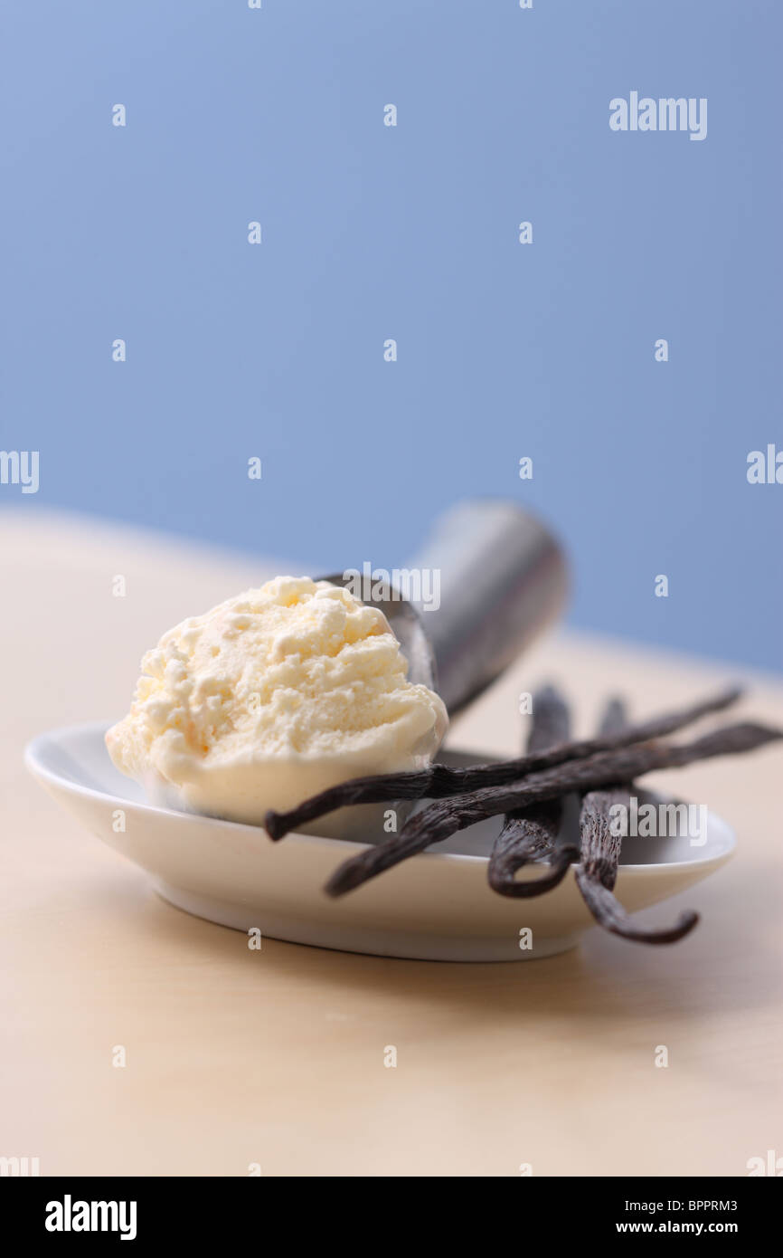 Pallina di gelato alla vaniglia e baccelli di vaniglia Foto Stock