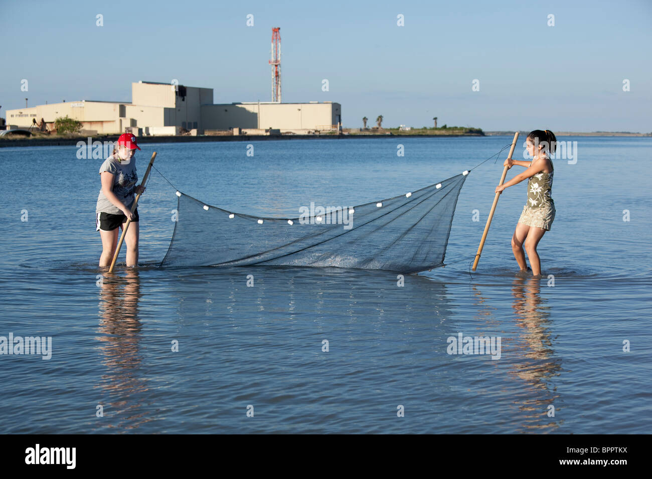 La scuola media di ragazze trascinare seine net per raccogliere campioni di acqua salata nel corso di biologia marina di campo classe di viaggio a Corpus Christi Bay Foto Stock