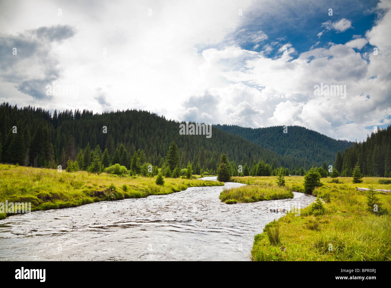 Frumoasa fiume e valle nei Carpazi, Romania. Foto Stock