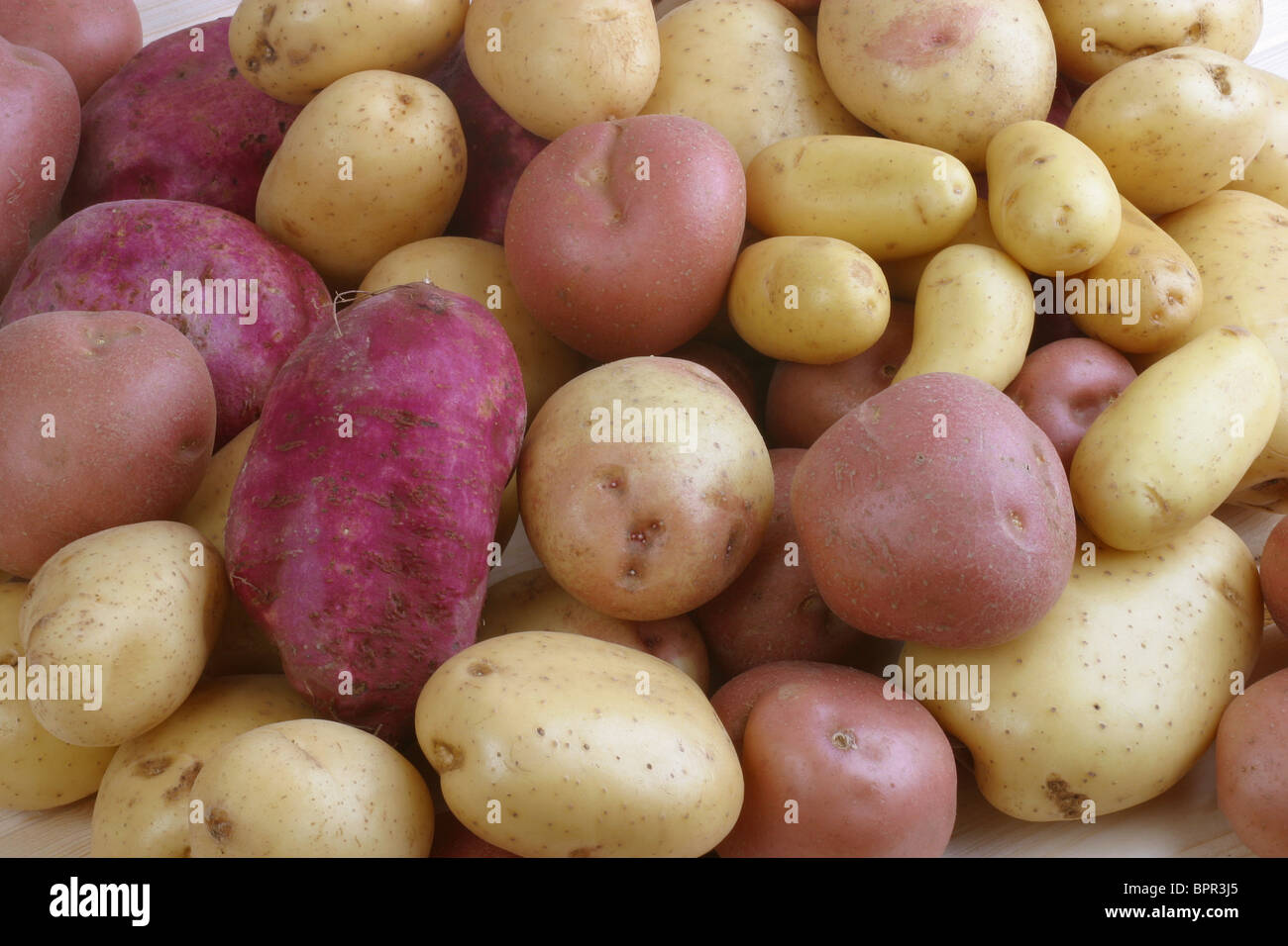Selezione di patate Foto Stock