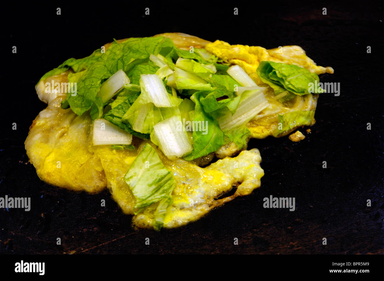 Close-up di una frittata di OYSTER Foto Stock