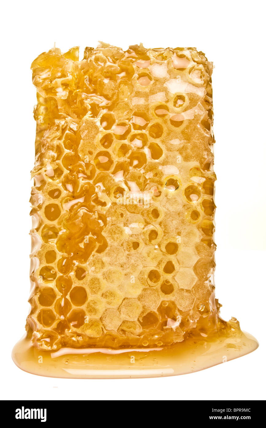 Favo di miele naturale dal punto di vista basso isolato su bianco. Foto Stock
