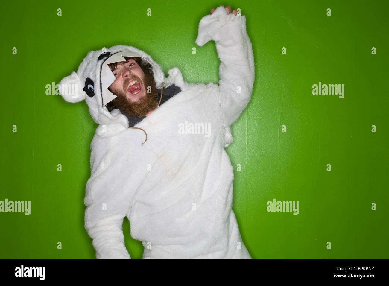 Giovane uomo con la barba in un orso polare suit ringhiando su sfondo verde. Foto Stock