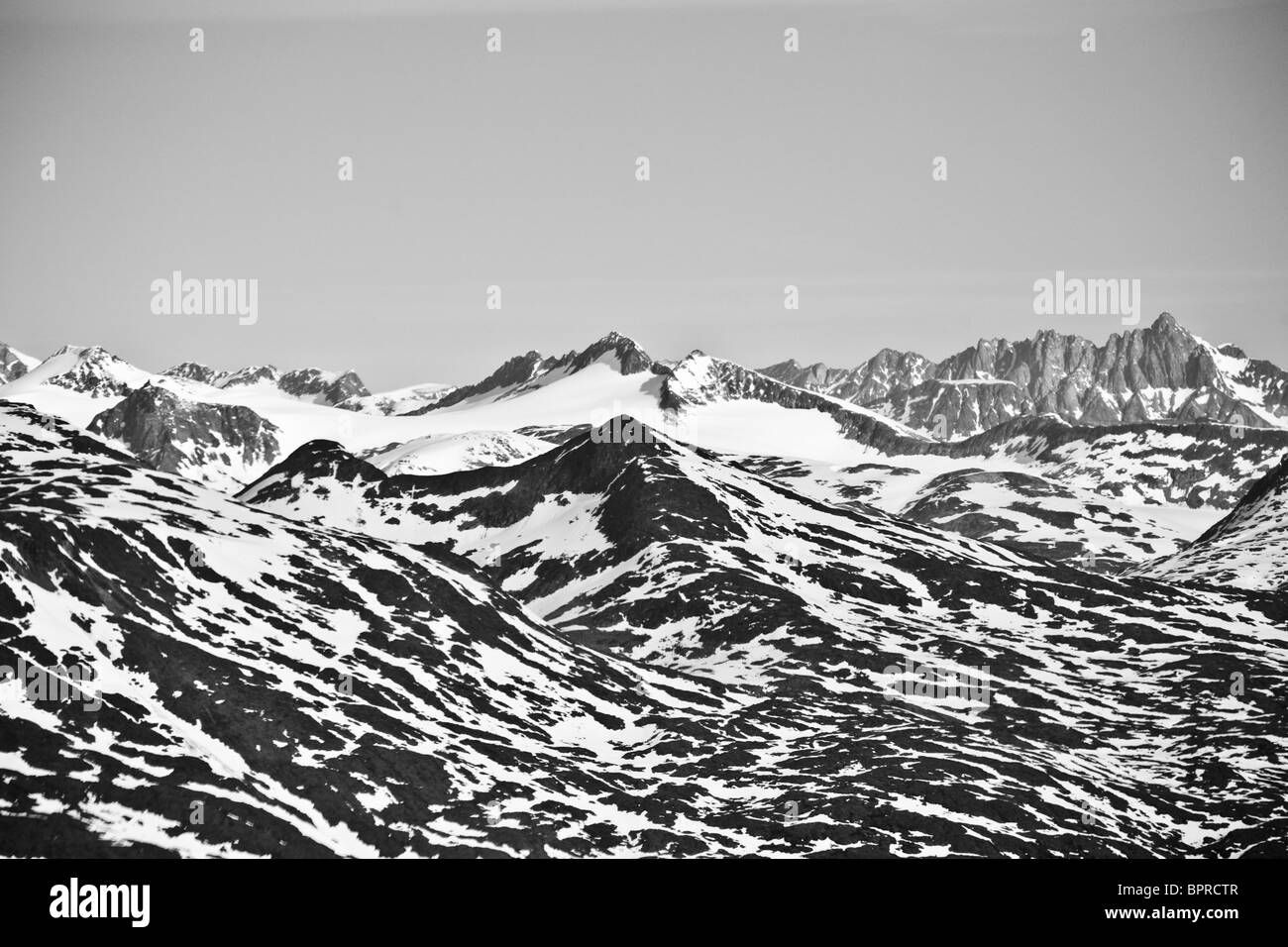 Alaskan campo di neve Foto Stock