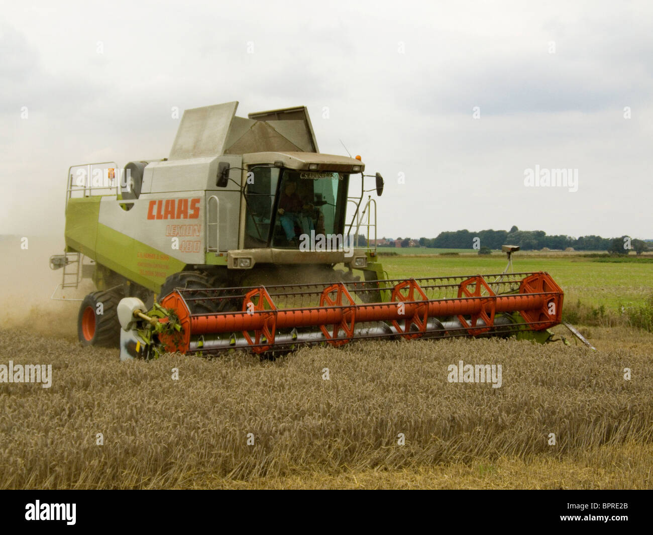 Claas Lexion 480 Mietitrebbia la raccolta di frumento in un campo di Norfolk su un luminoso giorno di agosto Foto Stock