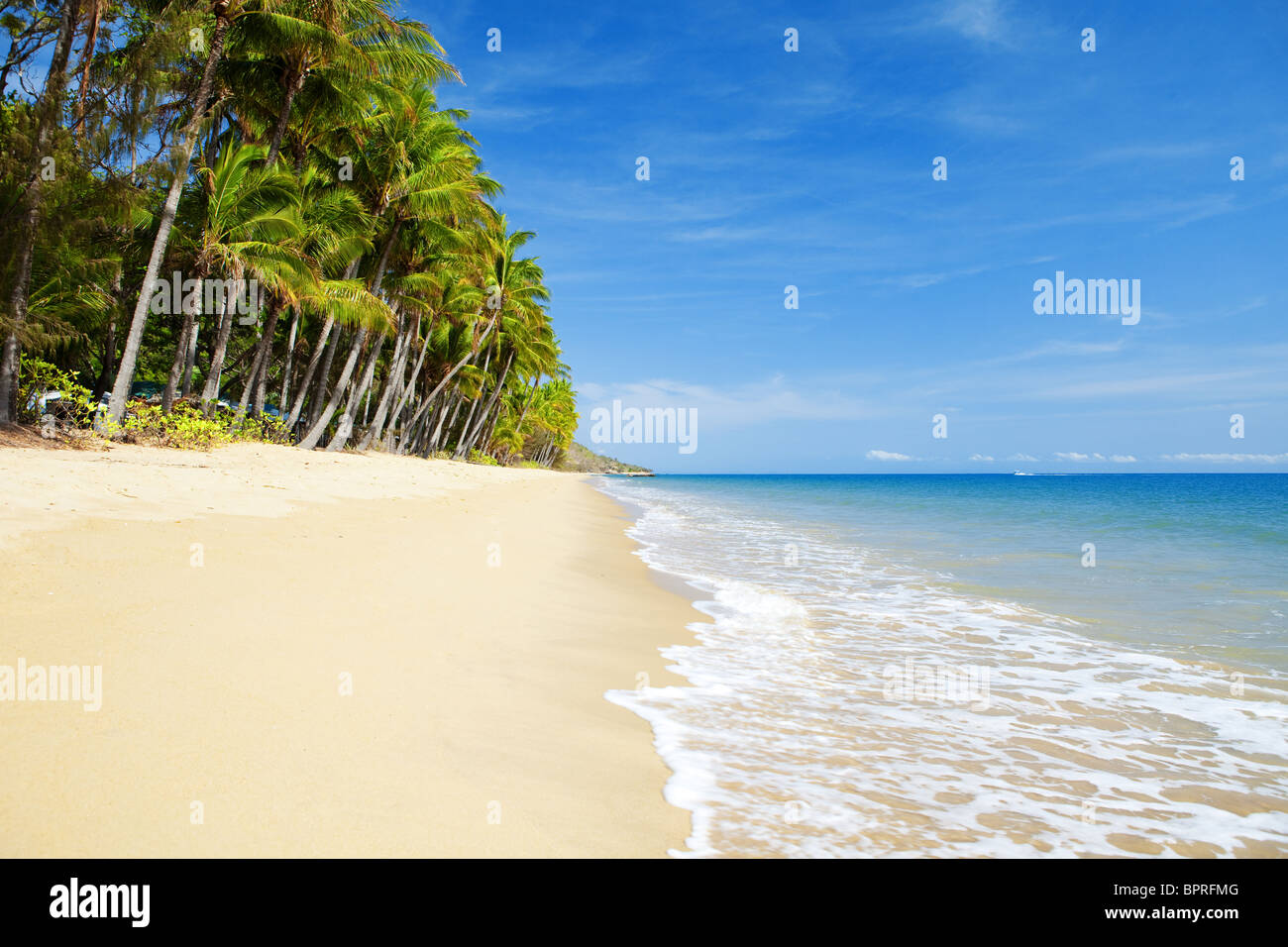 Deserta spiaggia tropicale con palme in North Queensland Foto Stock