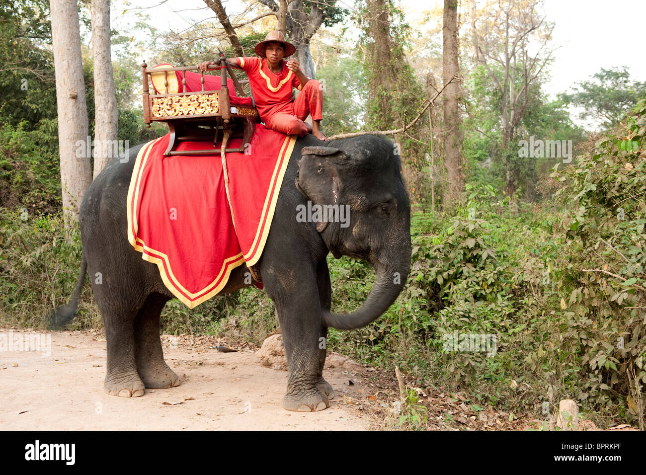 In groppa ad un elefante, Siem Reap, Cambogia Foto Stock