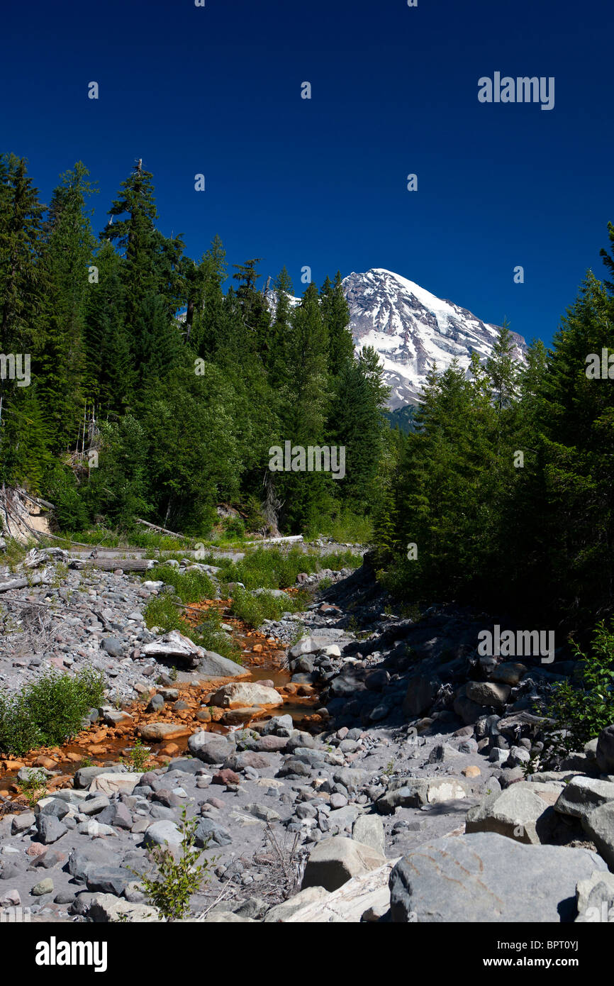 Kautz Creek con il Monte Rainier in background, Mt. Rainier National Park, Washington, Stati Uniti d'America Foto Stock