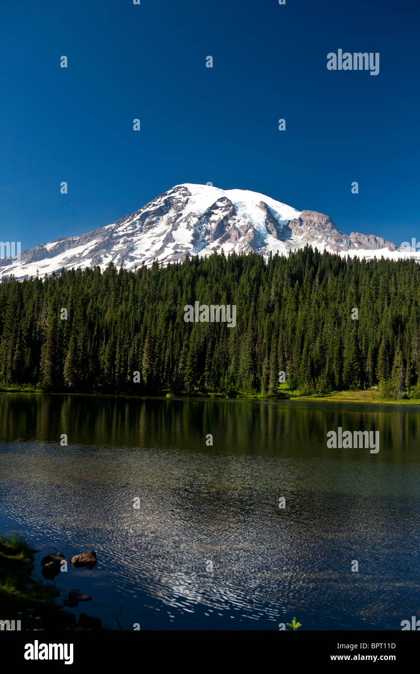 La riflessione sul lago con il Monte Rainier in background, Mt. Rainier National Park, Washington, Stati Uniti d'America Foto Stock