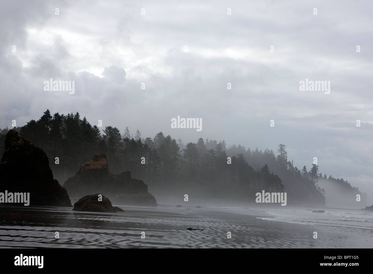 Ruby Spiaggia di mattina con la nebbia di nebbia, il Parco Nazionale di Olympic, Washington, Stati Uniti d'America Foto Stock