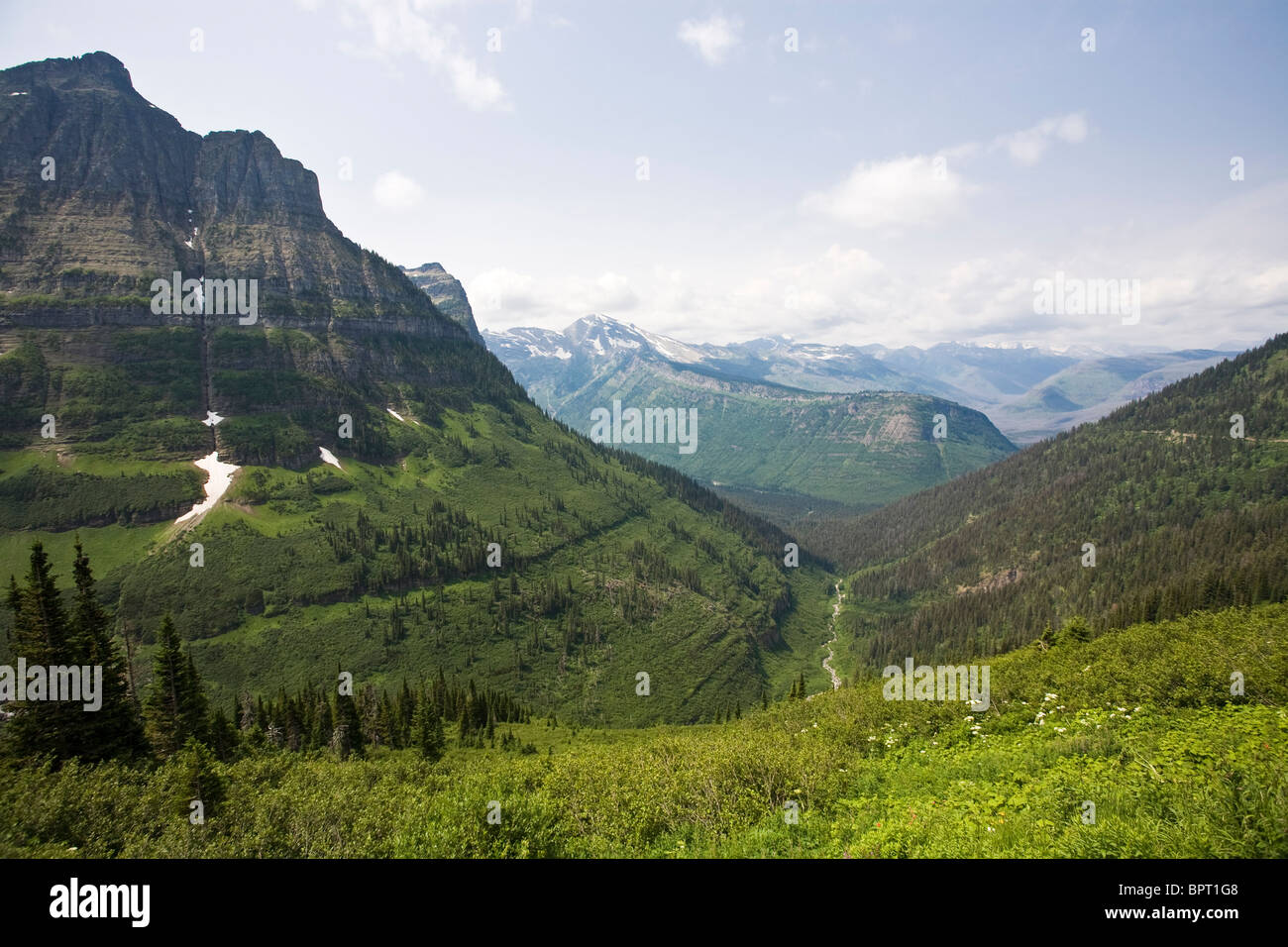 Vista sulle montagne e la gola da andare al sole autostrada presso il Glacier National Park, Montana. Foto Stock